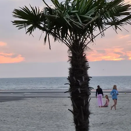 Apartman Sahara - Residentie Lindo Ii *