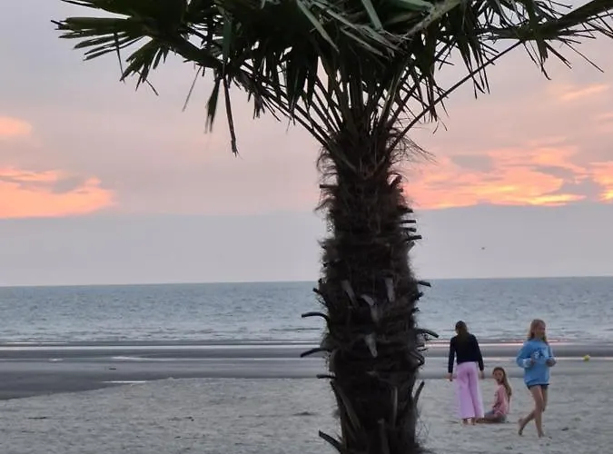 Apartment Sahara - Residentie Lindo Ii *